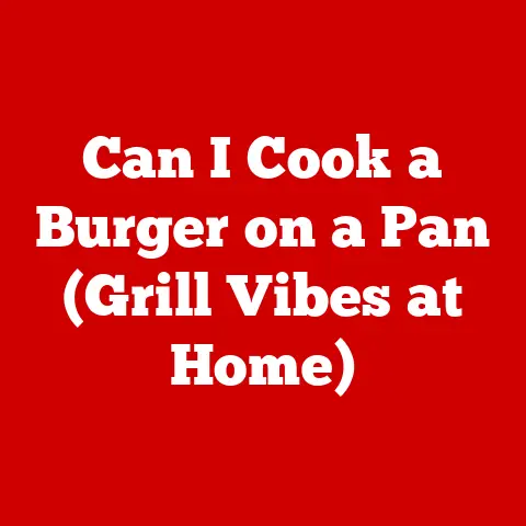 Can I Cook a Burger on a Pan (Grill Vibes at Home)