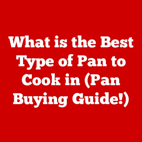 What is the Best Type of Pan to Cook in (Pan Buying Guide!)